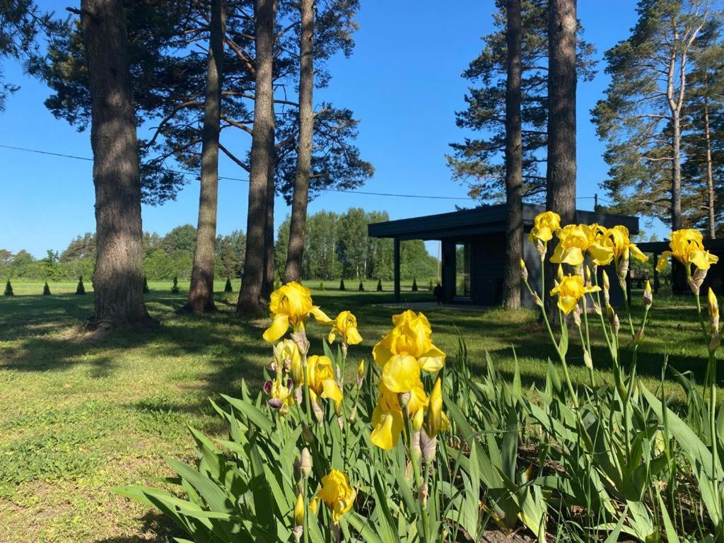 Villa Maennituka Suvetuba Kirikukula  ภายนอก รูปภาพ